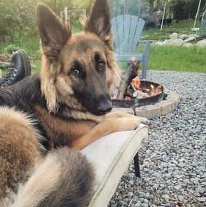 Meet your Posher, Karla